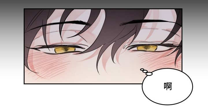 第27章：新的猫咪7