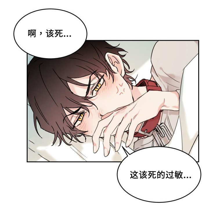 第28章：生气了吗3