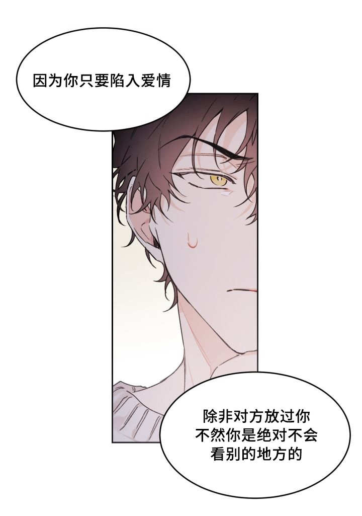 第44章：陷入爱情18