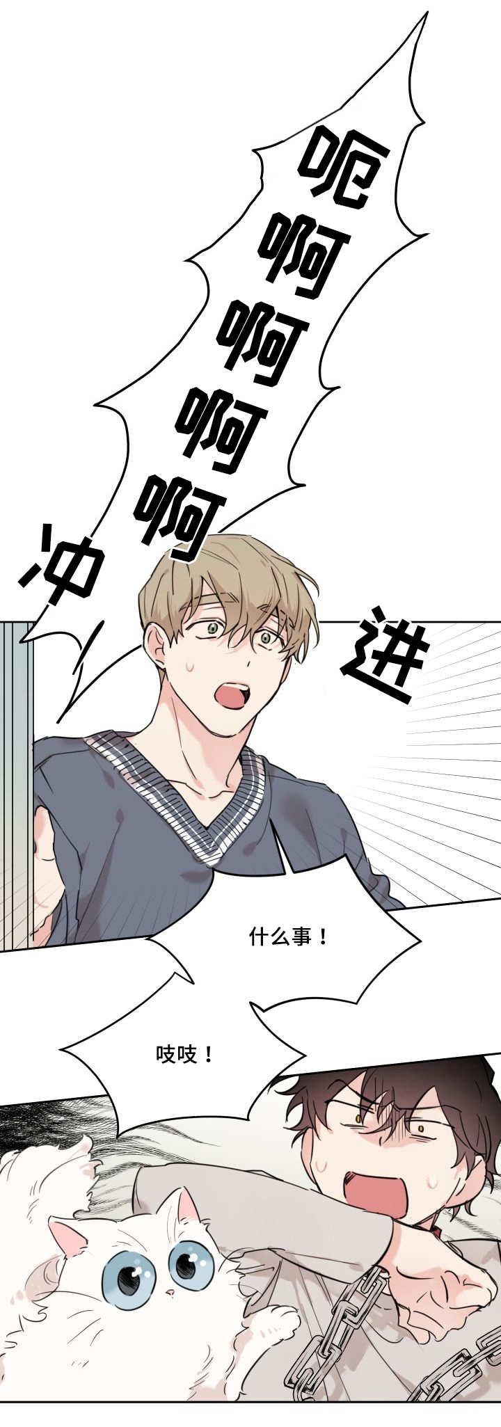 第27章：新的猫咪10