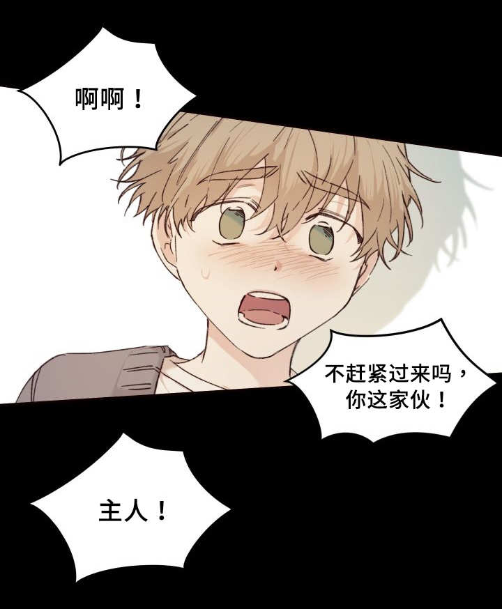 第35章：被谁抢走了13