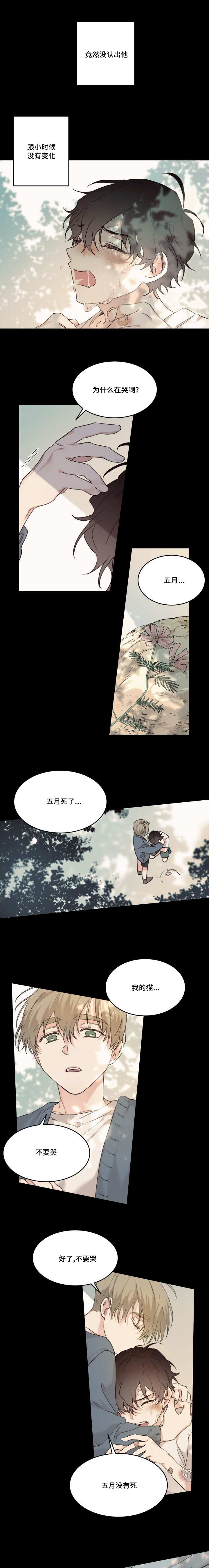 第18章：想起来了3