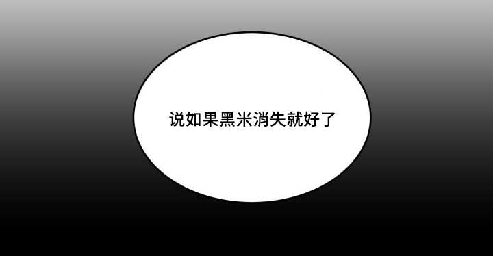 第45章：你的爱人10