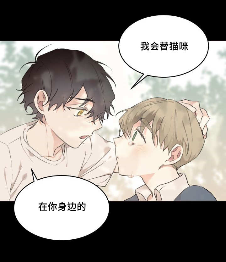 第31章：爱情的原因9