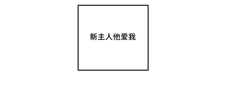 第49章：没来找我19