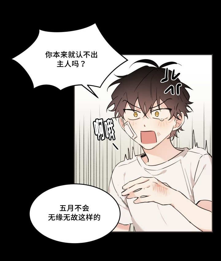 第30章：我能走了吗14