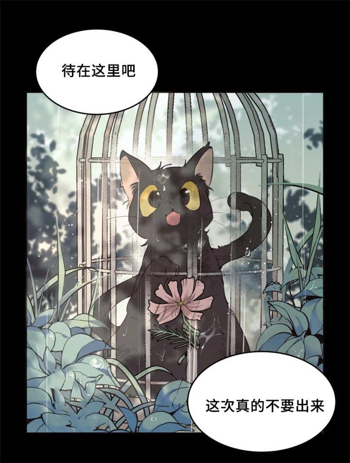 第27章：新的猫咪4