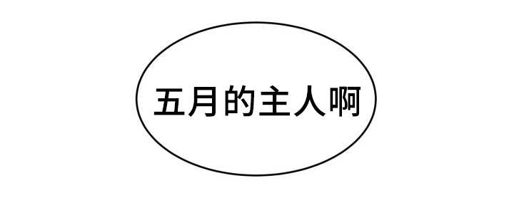 第35章：被谁抢走了4