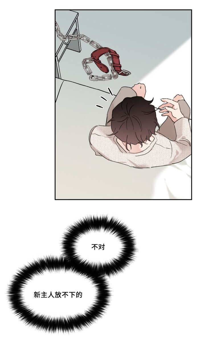 第30章：我能走了吗9