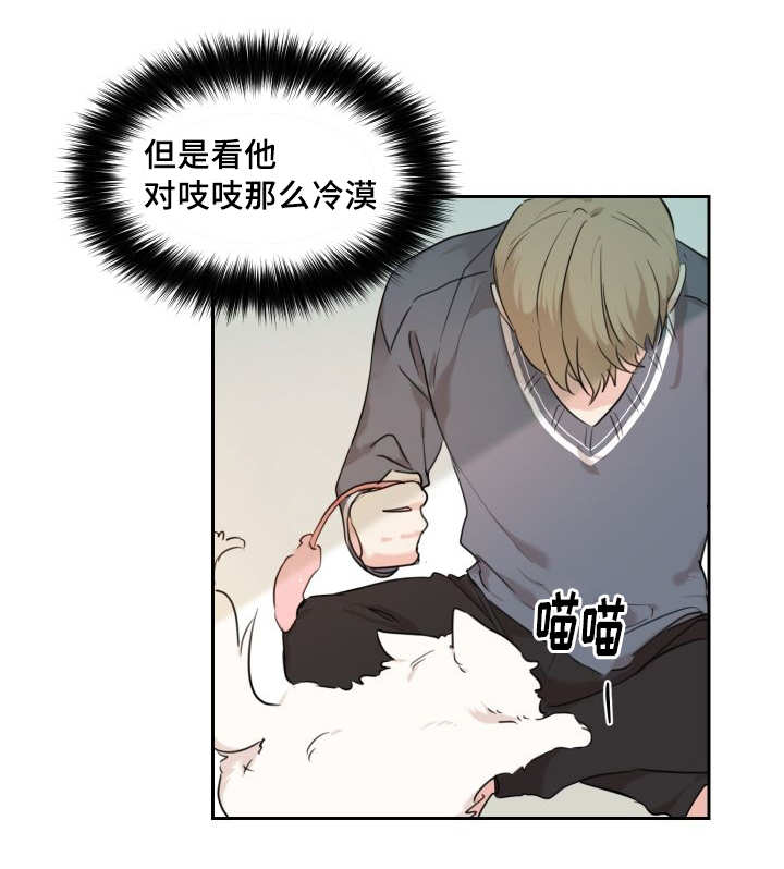 第27章：新的猫咪29