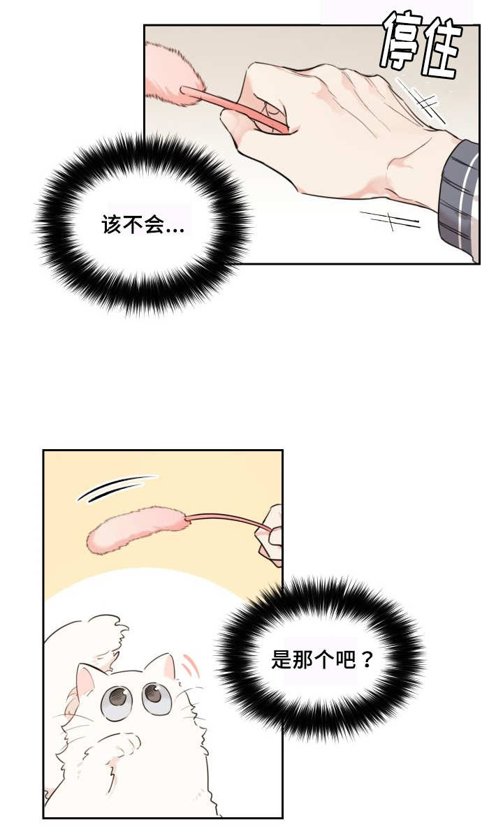 第27章：新的猫咪28