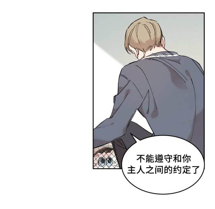 第30章：我能走了吗23