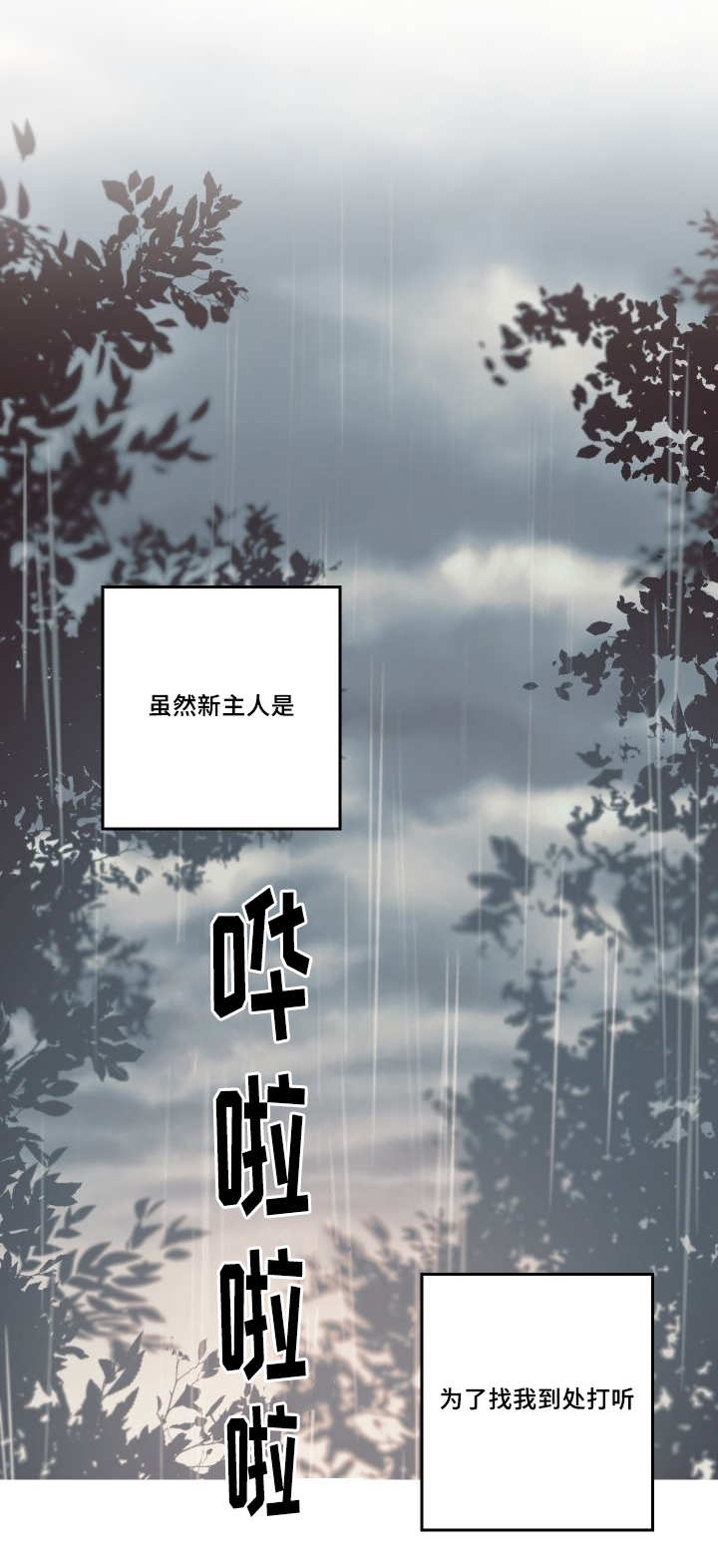 第50章：大结局4