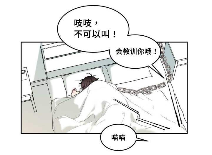 第28章：生气了吗4
