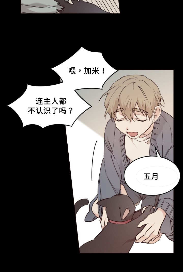 第34章：搞错了什么29