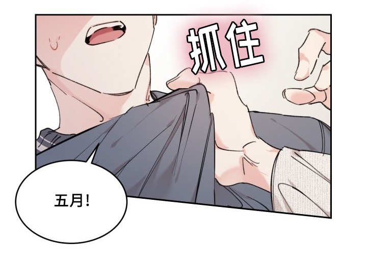 第31章：爱情的原因17