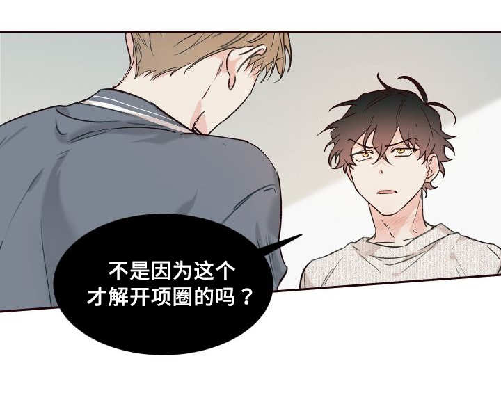 第34章：搞错了什么13