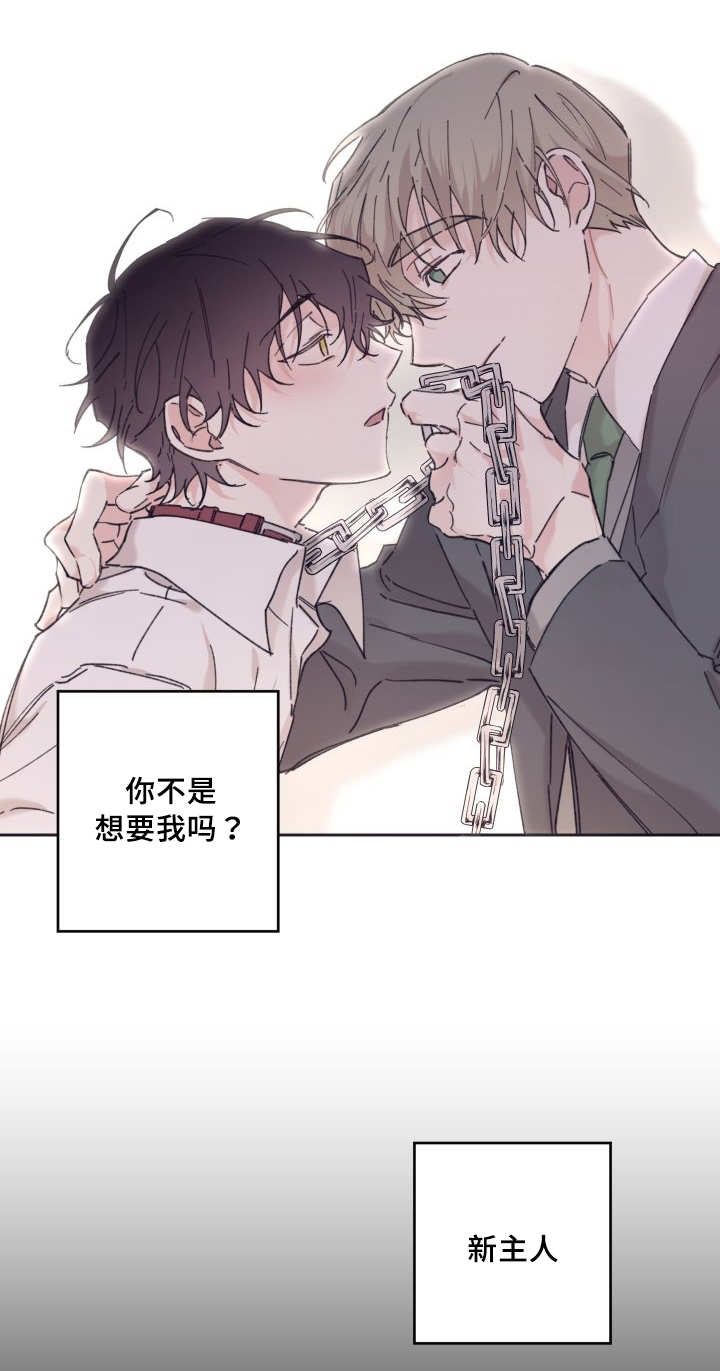 第31章：爱情的原因7