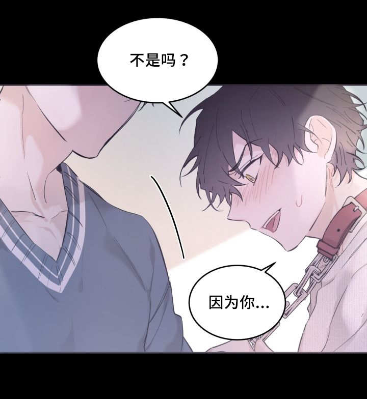 第44章：陷入爱情20