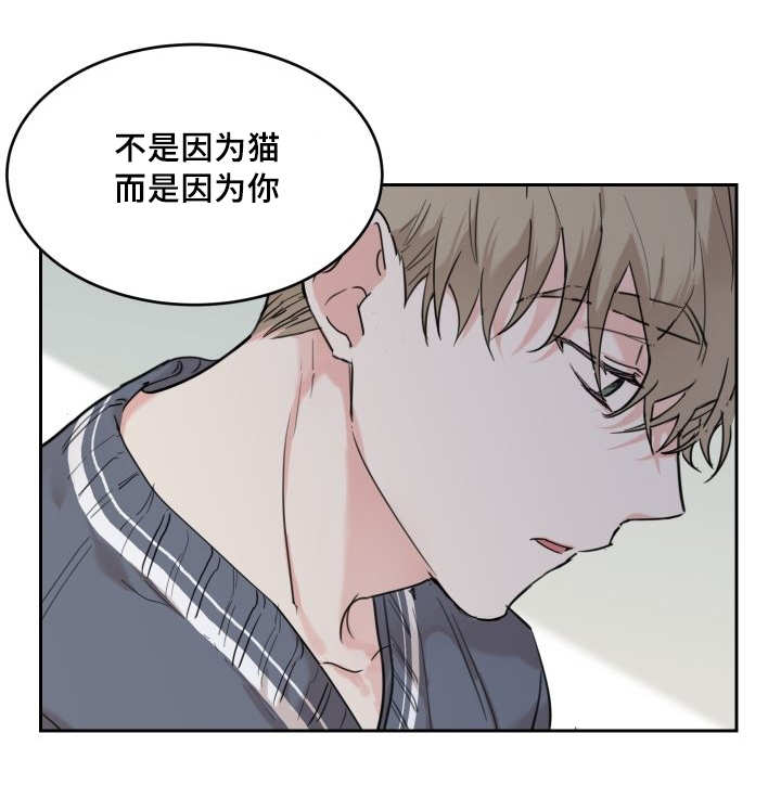 第28章：生气了吗23