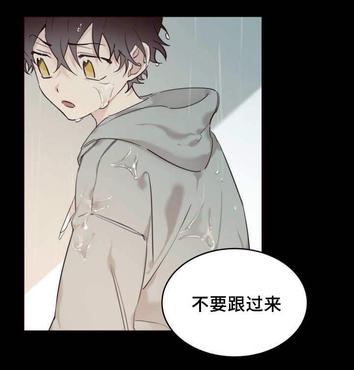第26章：不然就杀了5