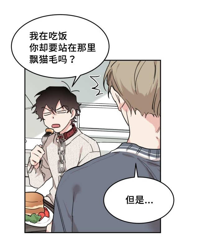 第28章：生气了吗13