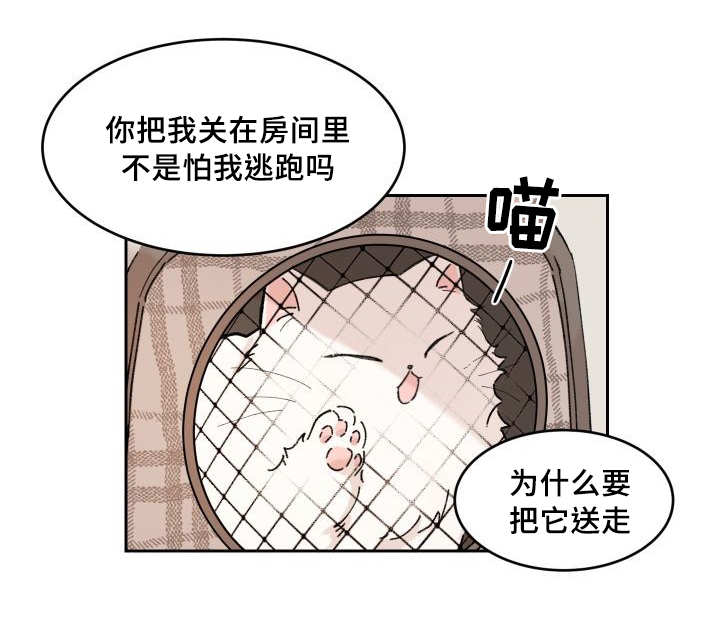 第30章：我能走了吗31