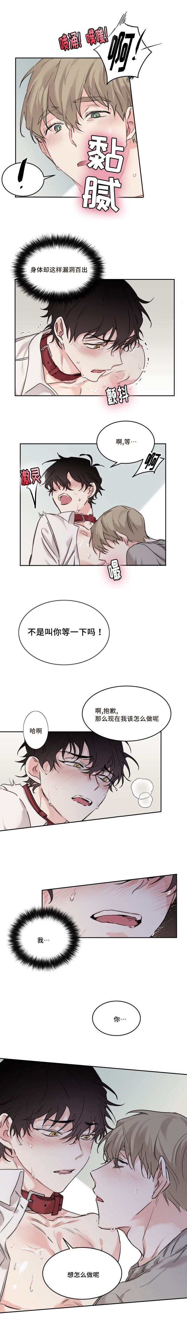 第12章：想怎么做呢4