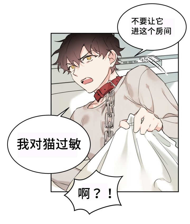 第27章：新的猫咪22