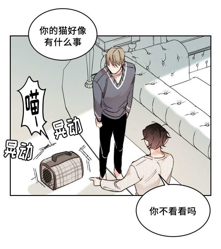 第30章：我能走了吗30