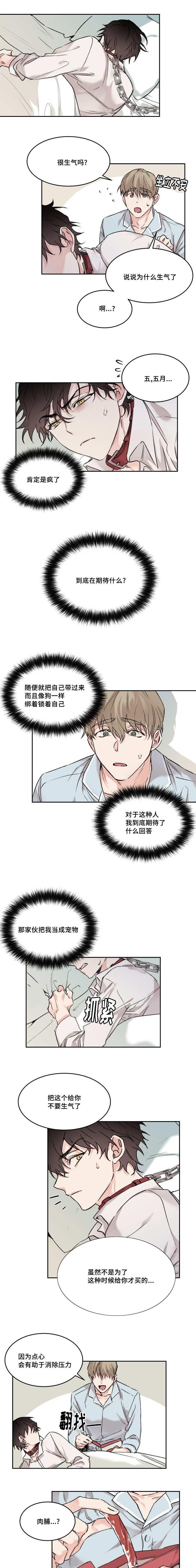 第15章：不记得我1