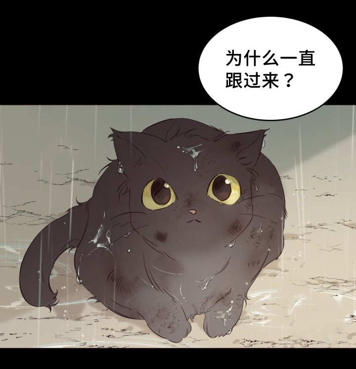 第26章：不然就杀了4