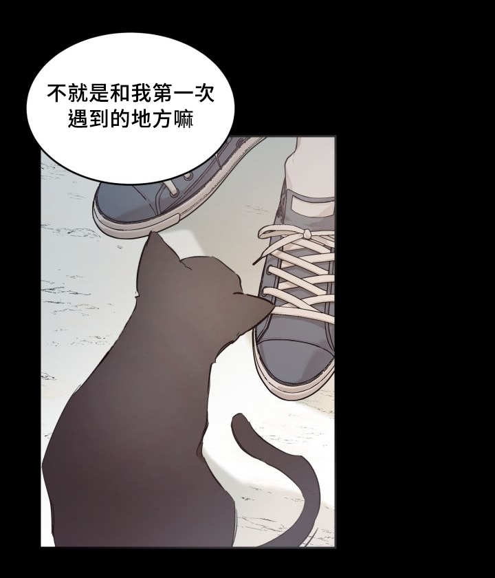 第46章：只是羡慕10