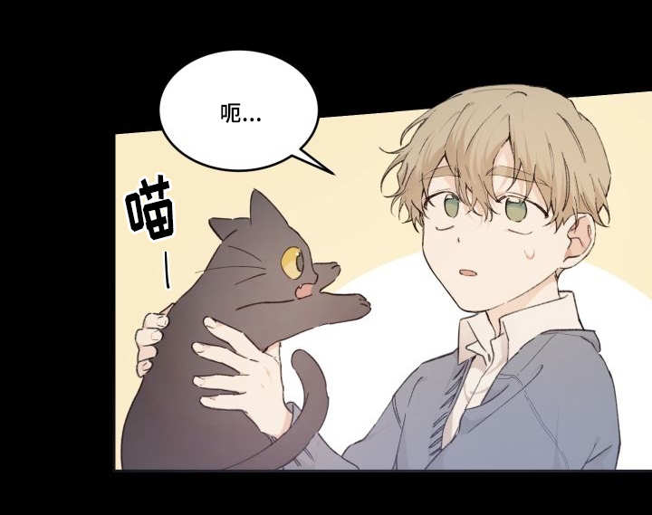第45章：你的爱人17