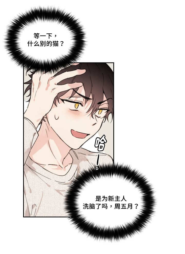 第30章：我能走了吗8