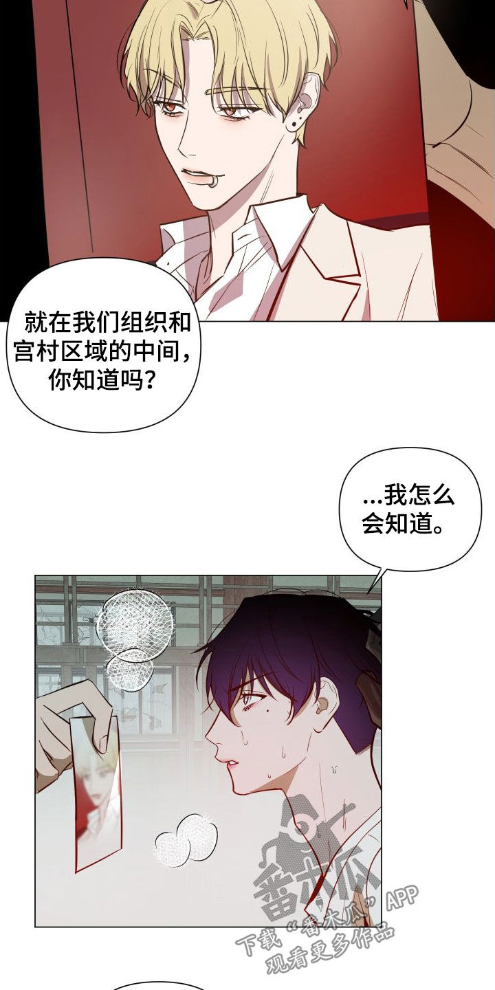 第39章：目的15