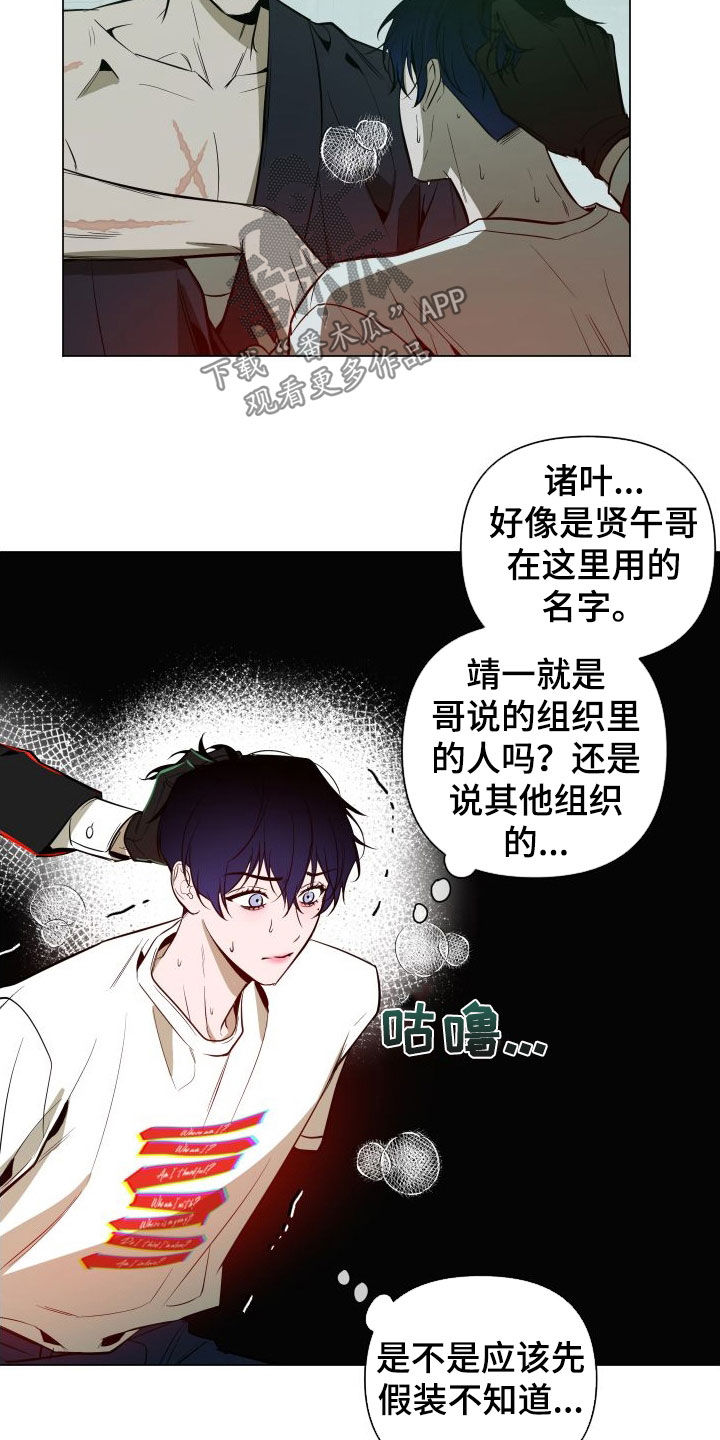 第39章：目的6