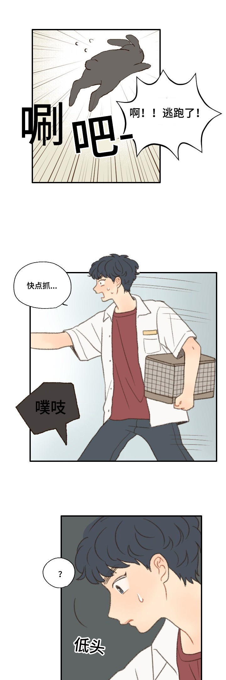 第34章：相机8