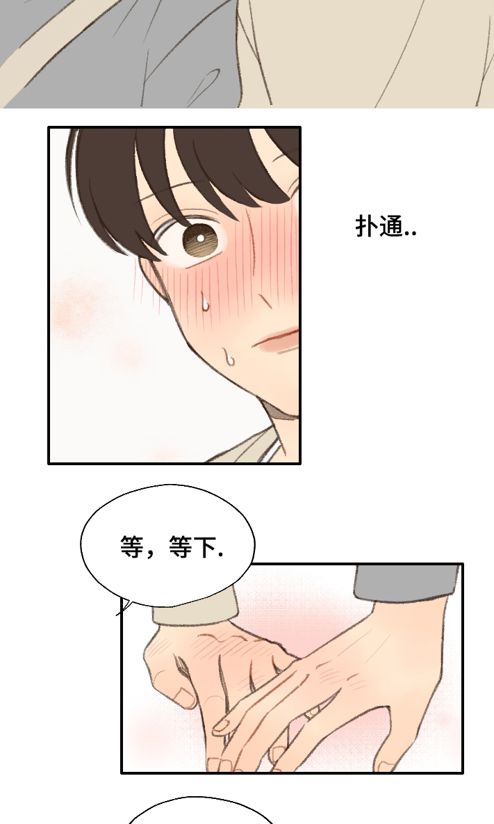 第19章：告白4