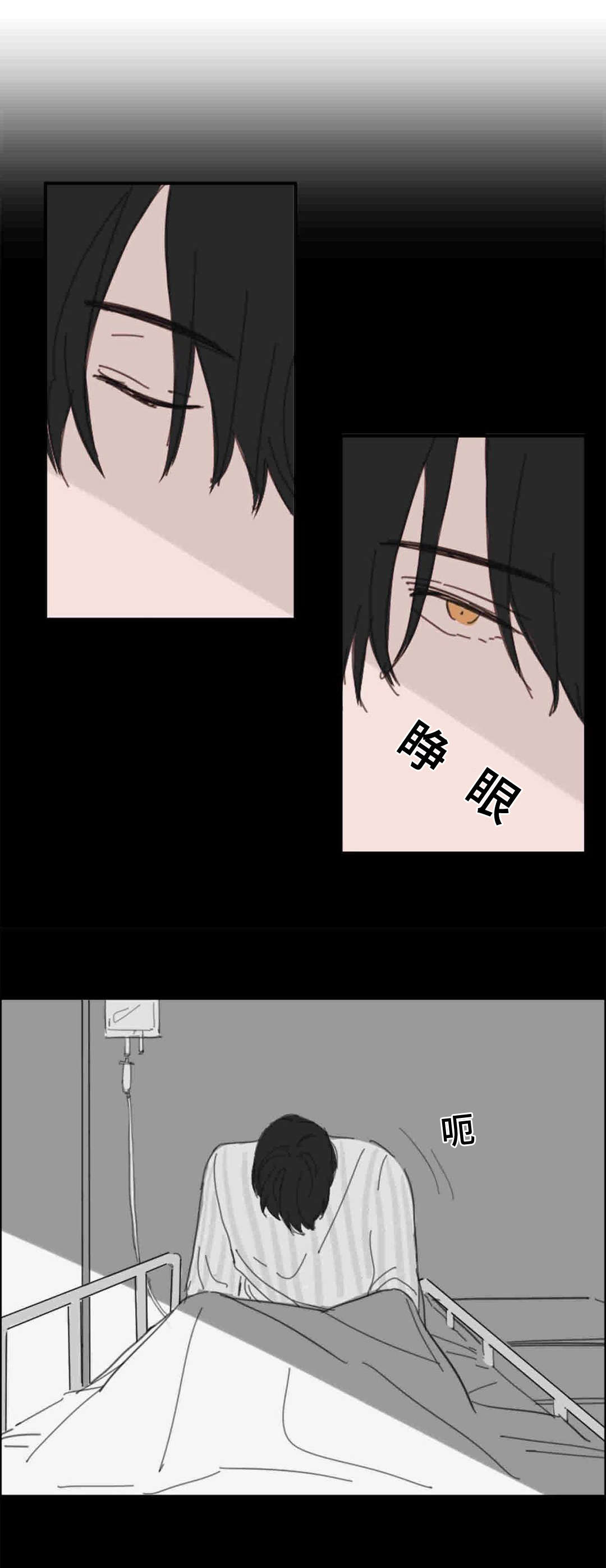 第18章：梦境6