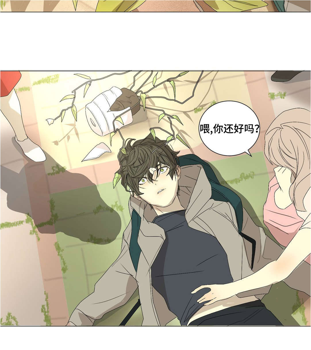 第24章：全都怪你12