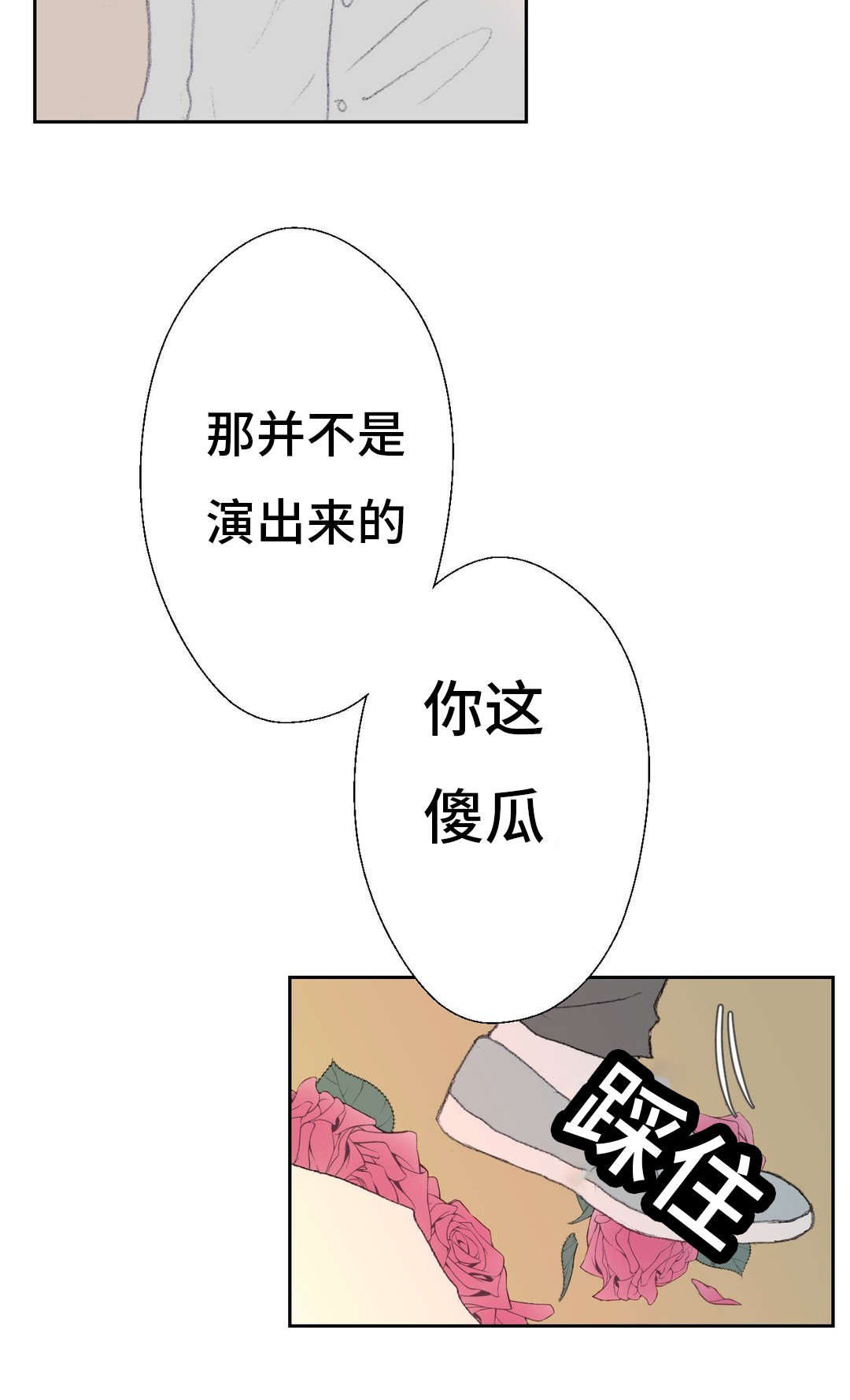 第39章：傻瓜12