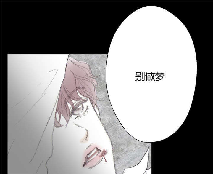 第14章：梦境4