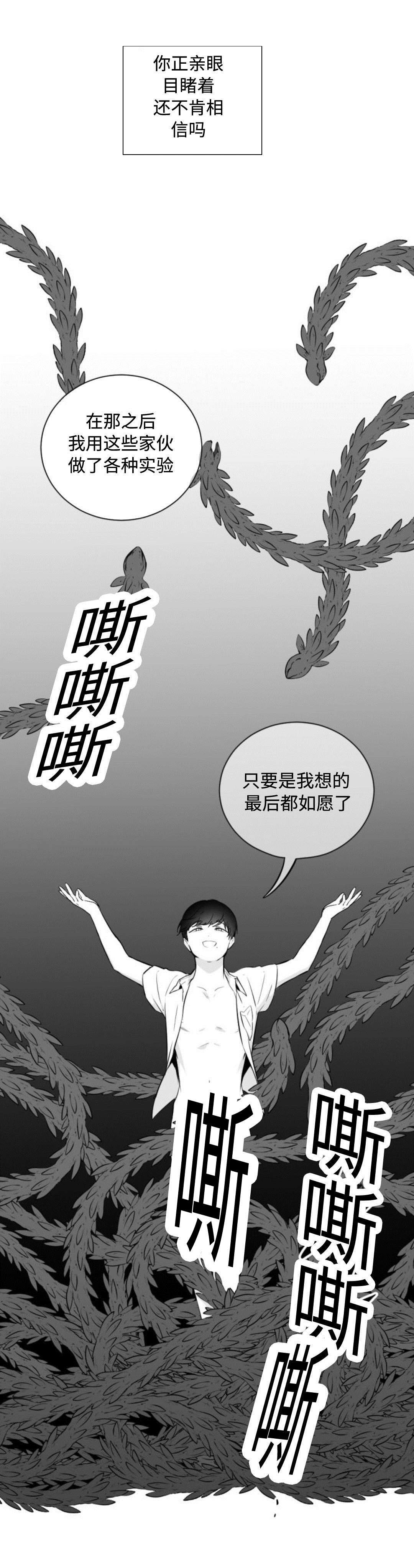 第36章：喜欢自由4