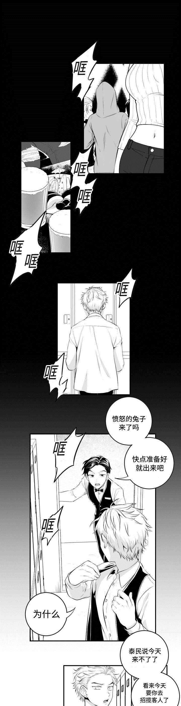 第1章：愤怒的兔子0