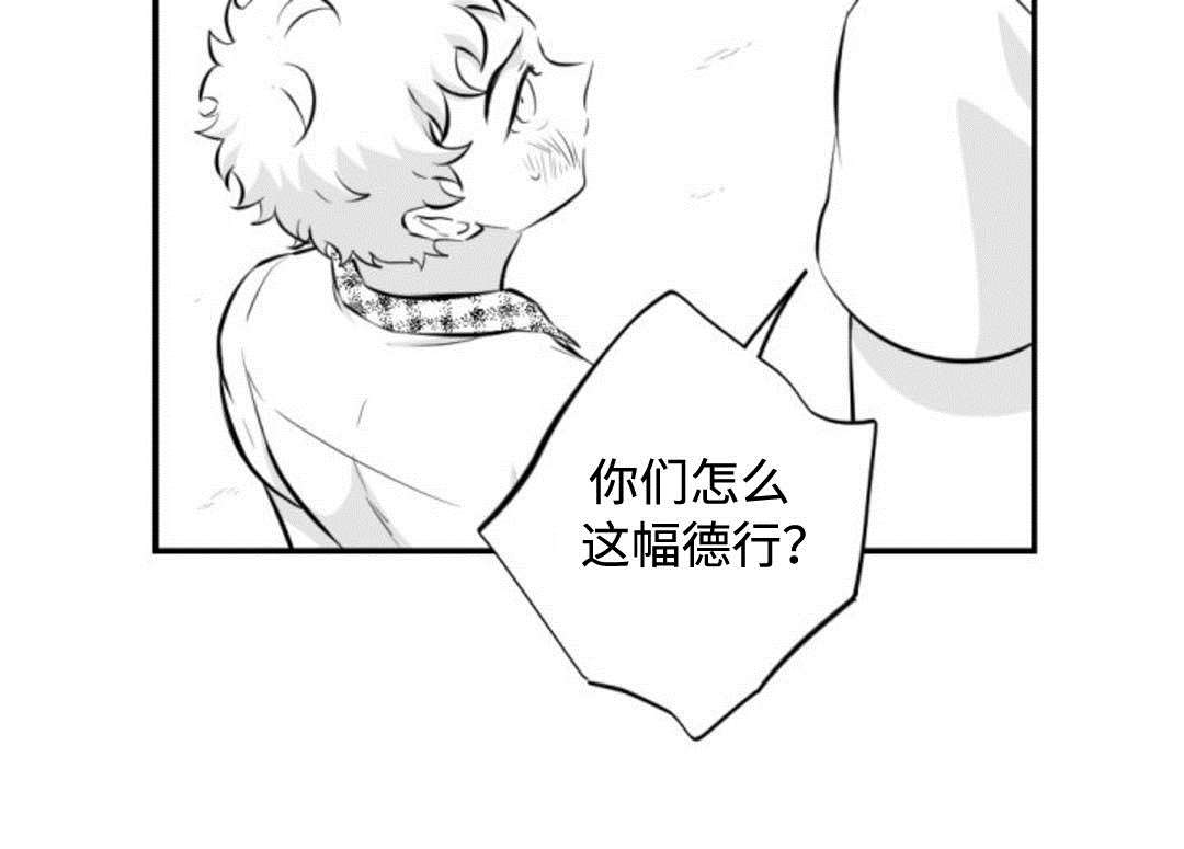 第31章：同志9