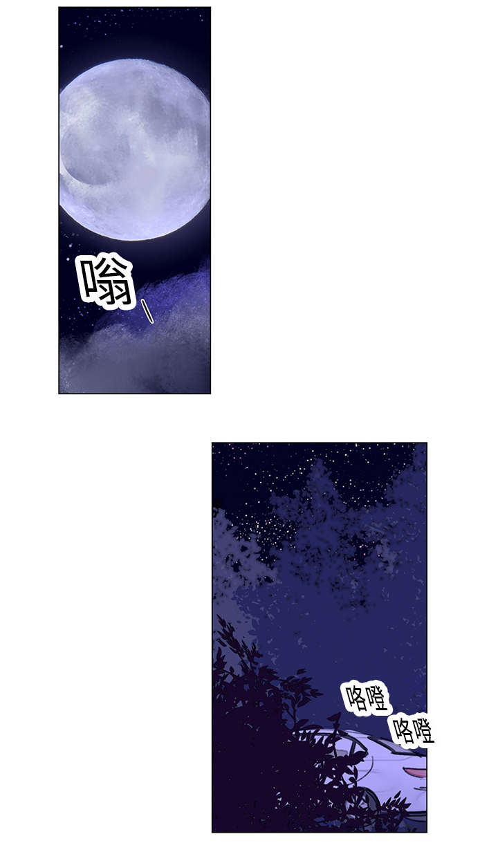 第20章：D的过去0