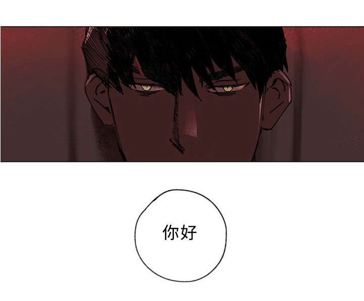 第37章：大结局0