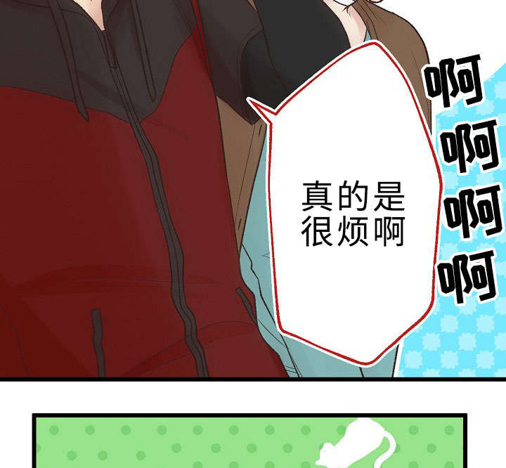 第24章：回归音乐会12