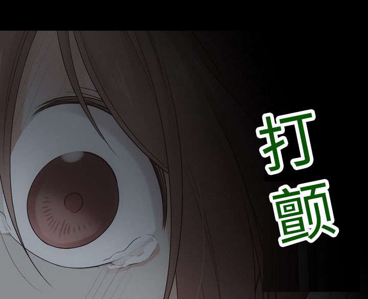 第17章：脸红21